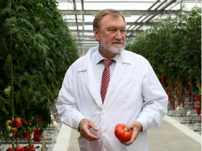 Does a neighbor have thicker carrots, or there are no seeds in his own country !?