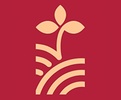 Tashido Seeds